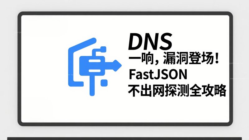 DNS 一响，漏洞登场！FastJSON 不出网探针全攻略-极客星球