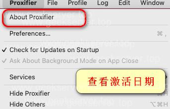 图片[10]-Proxifier 激活教程-极客星球